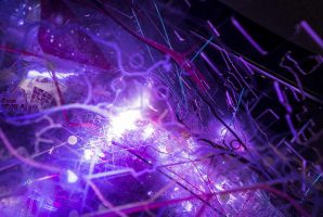 connessioni neuronali