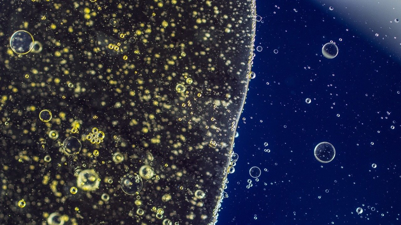 cellule