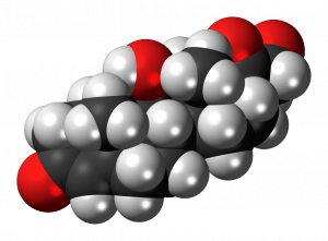 corticosterone